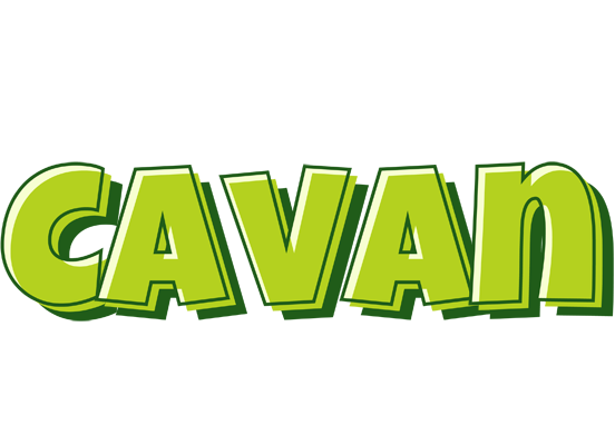 Cavan summer logo
