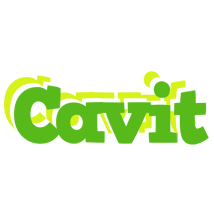 Cavit picnic logo