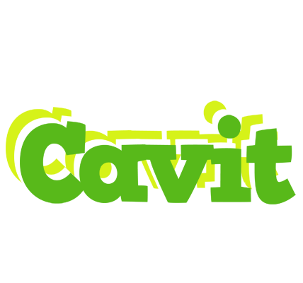 Cavit picnic logo