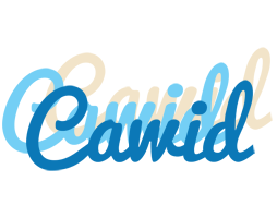 Cawid breeze logo