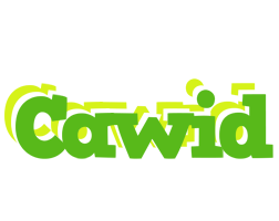 Cawid picnic logo