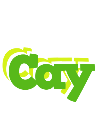 Cay picnic logo