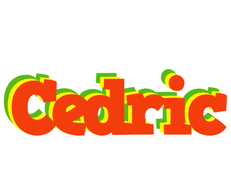 Cedric bbq logo