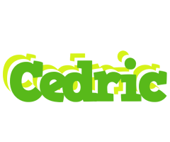 Cedric picnic logo