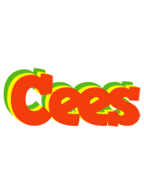 Cees bbq logo