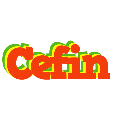 Cefin bbq logo