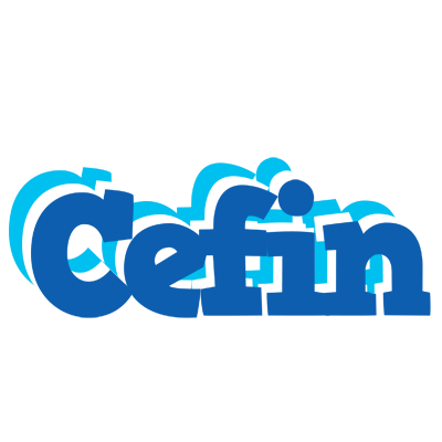 Cefin business logo