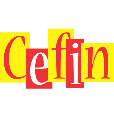 Cefin errors logo