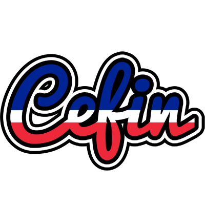 Cefin france logo