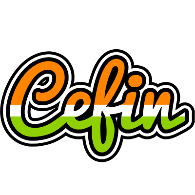 Cefin mumbai logo