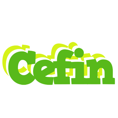 Cefin picnic logo