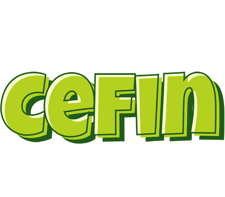Cefin summer logo