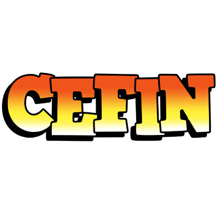 Cefin sunset logo