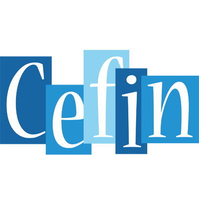 Cefin winter logo