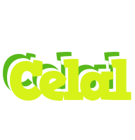 Celal citrus logo