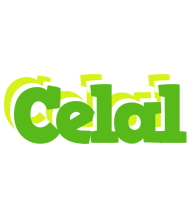 Celal picnic logo