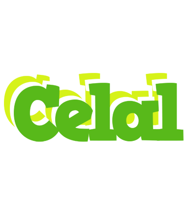 Celal picnic logo