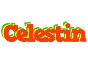 Celestin bbq logo