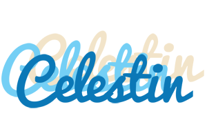 Celestin breeze logo