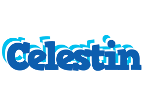 Celestin business logo