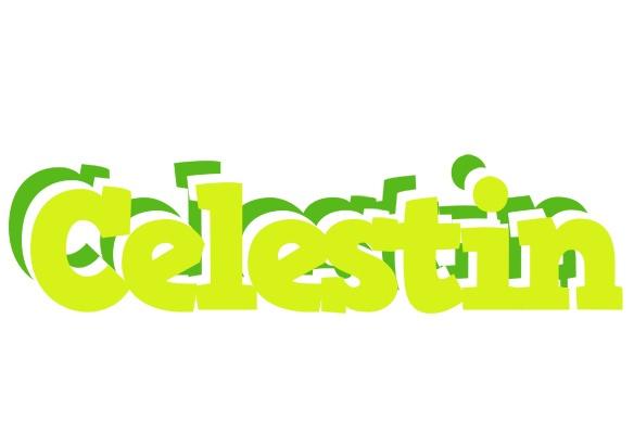 Celestin citrus logo