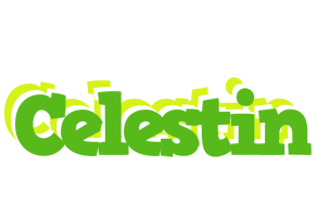 Celestin picnic logo