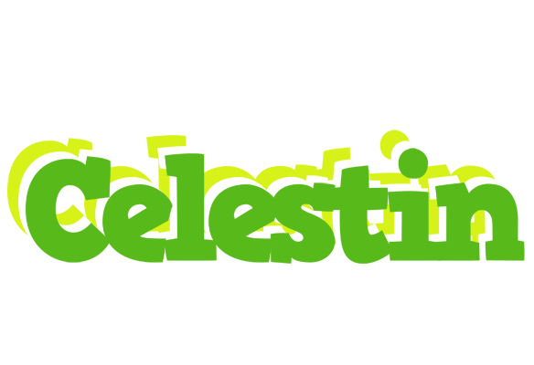 Celestin picnic logo