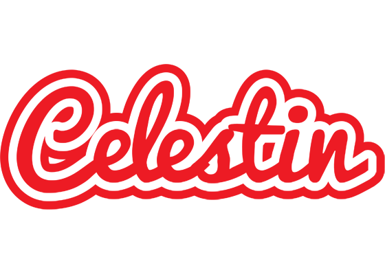 Celestin sunshine logo