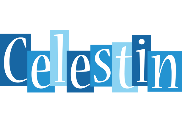 Celestin winter logo