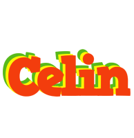 Celin bbq logo