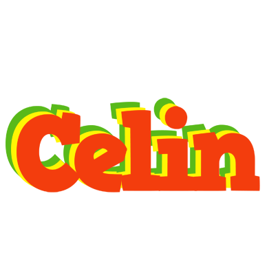 Celin bbq logo