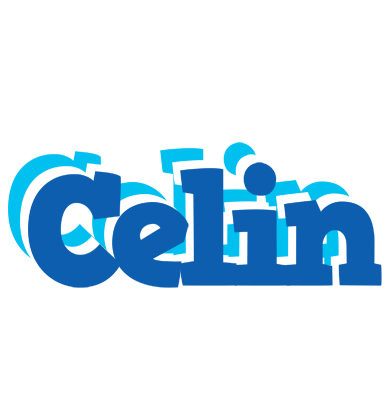 Celin business logo