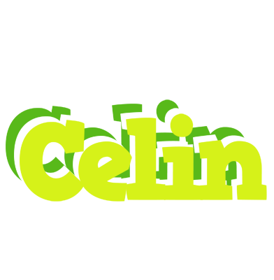 Celin citrus logo