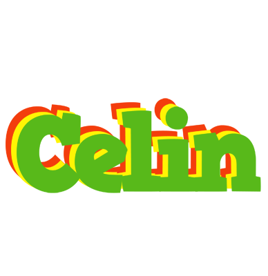 Celin crocodile logo