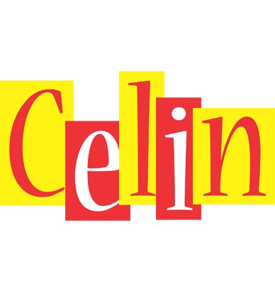 Celin errors logo