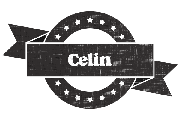 Celin grunge logo