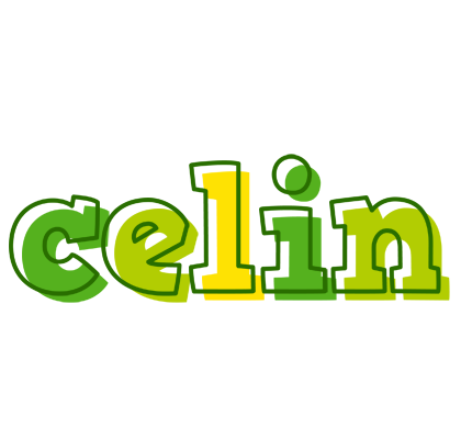 Celin juice logo