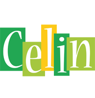 Celin lemonade logo