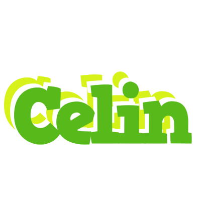 Celin picnic logo