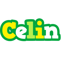 Celin soccer logo