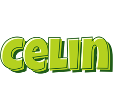 Celin summer logo