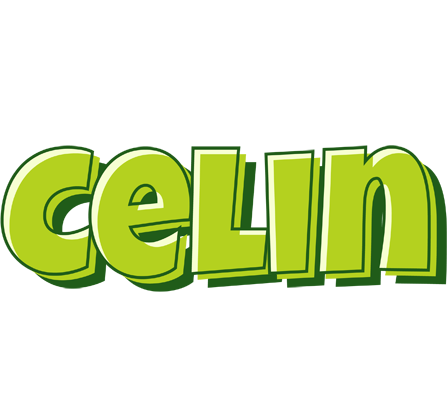 Celin summer logo