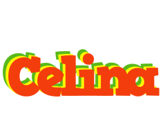 Celina bbq logo
