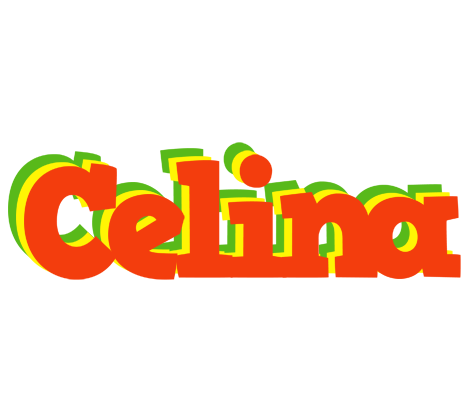 Celina bbq logo
