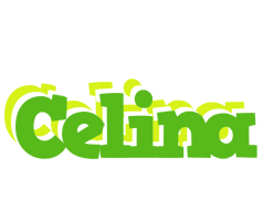 Celina picnic logo