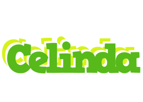 Celinda picnic logo