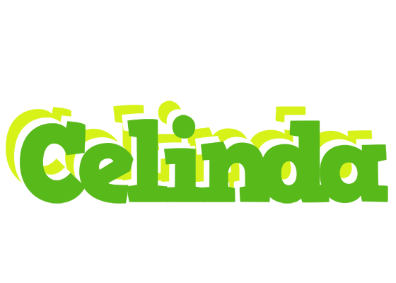 Celinda picnic logo