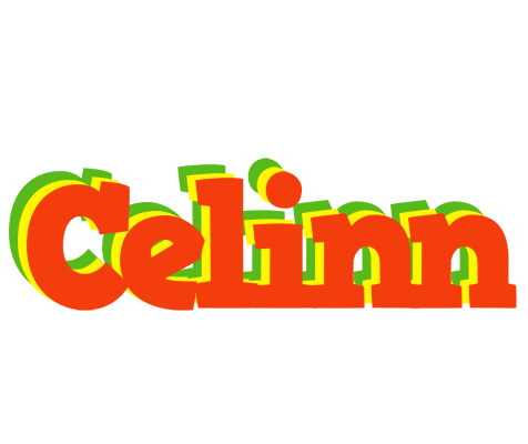 Celinn bbq logo