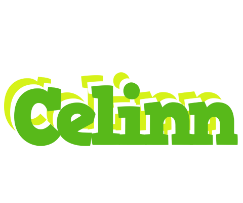 Celinn picnic logo