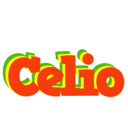 Celio bbq logo